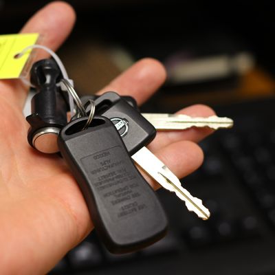 Noleggio di barche ed auto